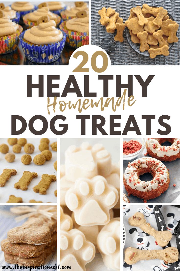 healthy homemade dog treats with text overlay that reads, 20 healthy homemade dog treats