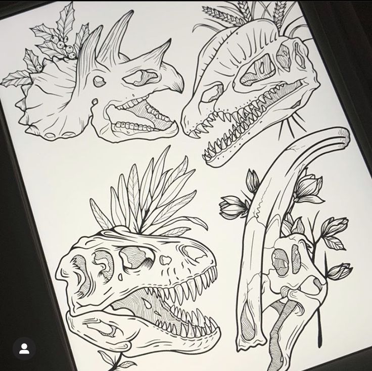 an image of dinosaur heads drawn on paper