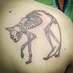 a cat skeleton tattoo on the back of a man's shoulder