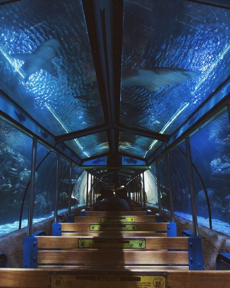 the inside of an aquarium with stairs leading up to it