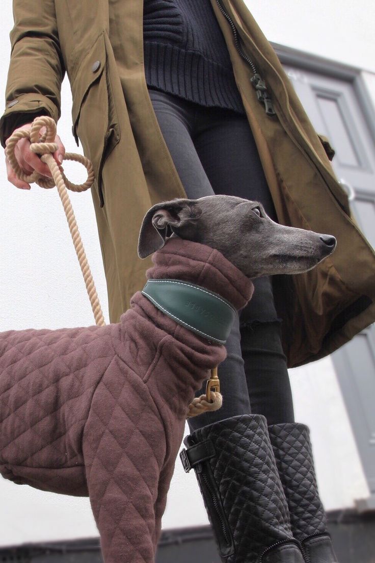 a woman is walking her dog on a leash wearing boots and a quilted coat