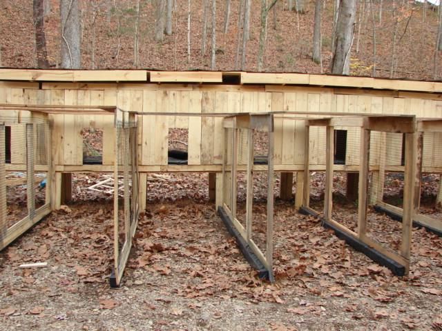 several wooden structures in the woods surrounded by leaves