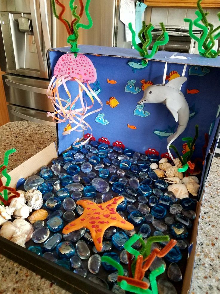 an open box filled with sea animals and rocks