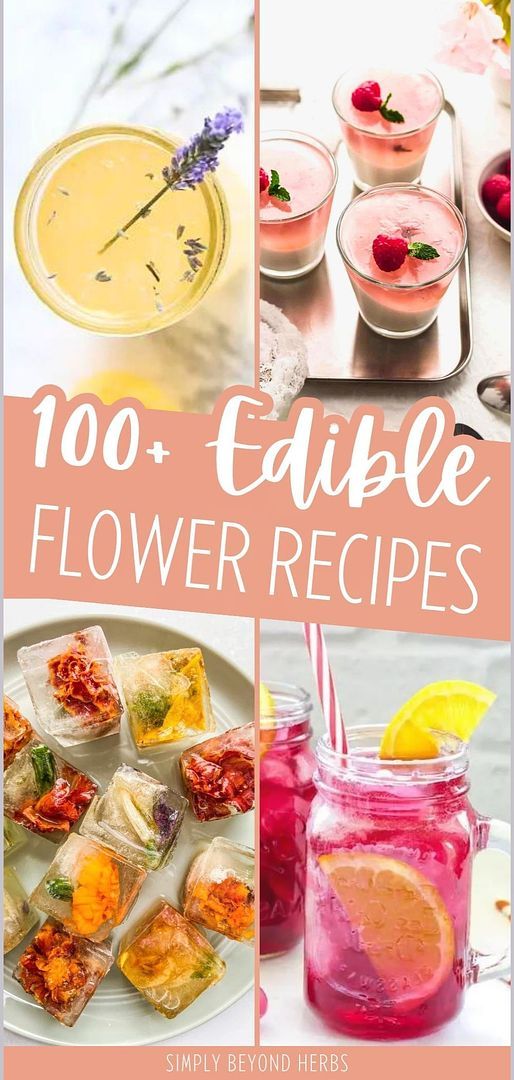 the cover of 100 edible flower recipes, including lemonade and raspberry juice