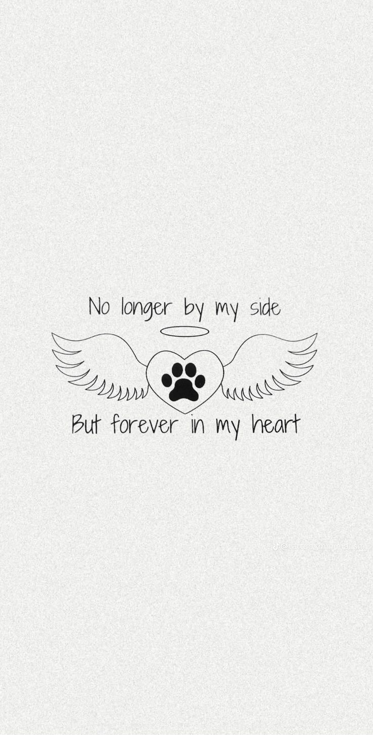 an image of a dog's paw with the words, no longer by my side but forever in my heart