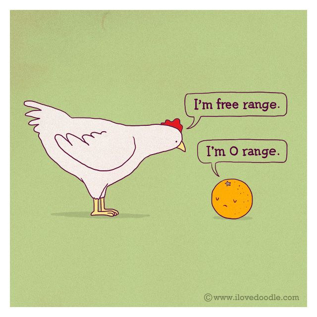 a chicken and an orange are talking to each other with the words i'm free range on them