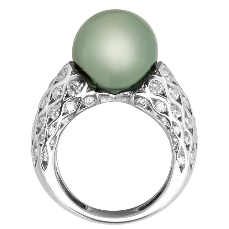 Tahitian pearls grown in the black-lip pearl oyster of French Polynesia are prized for their dark, colors and intense luster as seen in this exquisite ring. The black pearl is accented by the shimmer of diamonds sprinkled within the dome band. - Sixty diamonds are finely cut for brilliance, near colorless, prong set and weigh 1 5/8cts tw - Diamonds are certified to be ethically and responsibly sourcedB -Black Tahitian pearl measures 12mm - Ring is crafted of fine quality 14 karat white gold for Tahitian Pearl Ring, Pearl Oyster, The Black Pearl, Tahitian Black Pearls, Oyster Pearl, Diamond Fashion Rings, Black Lips, Radiant Diamond, French Polynesia