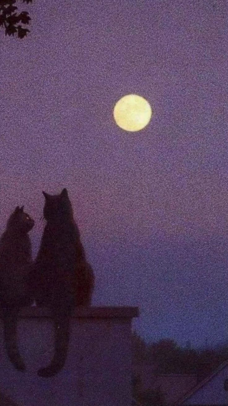 two cats sitting on top of a roof looking at the moon