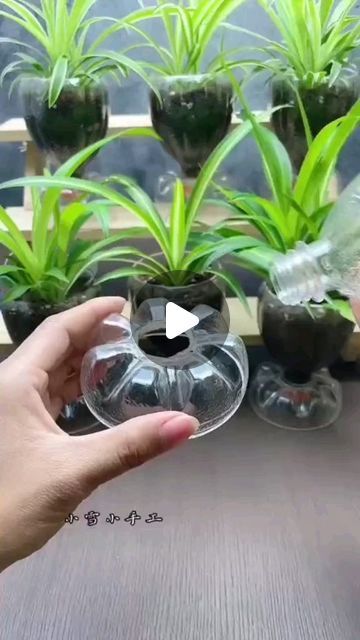 a person holding up a glass vase with plants in it on top of a table