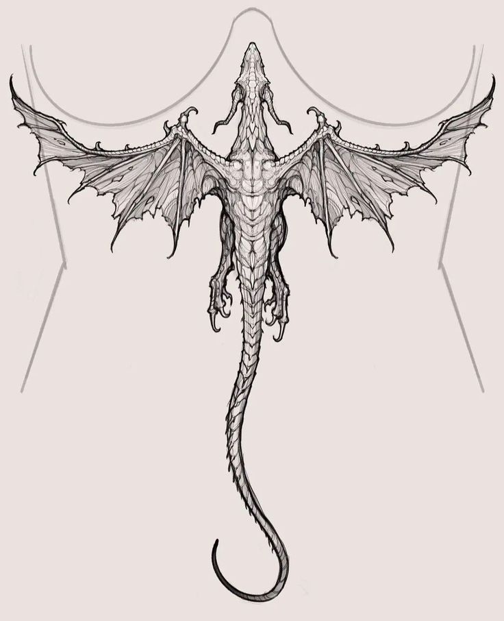 a black and white drawing of a dragon with its wings spread out to the side