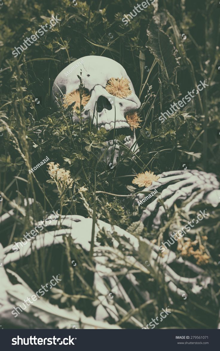 a skull in the grass with flowers growing out of it