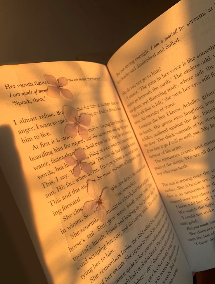 an open book sitting on top of a wooden table next to a light shining through the pages