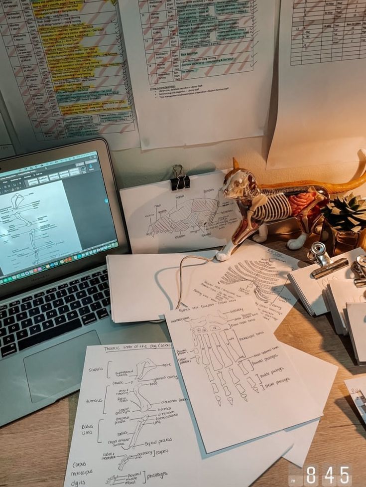 a laptop computer sitting on top of a wooden desk covered in papers and skeleton figurines