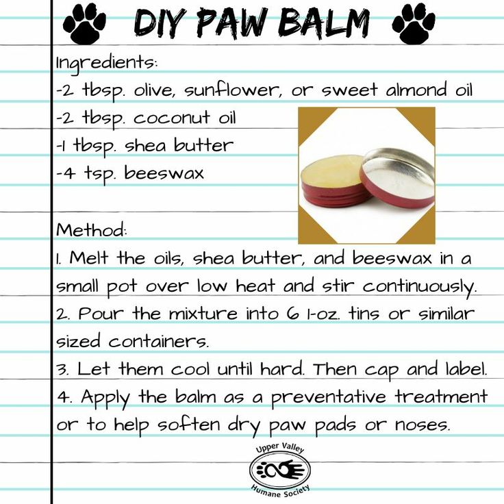 a recipe for homemade diy paw balm with instructions on how to use it