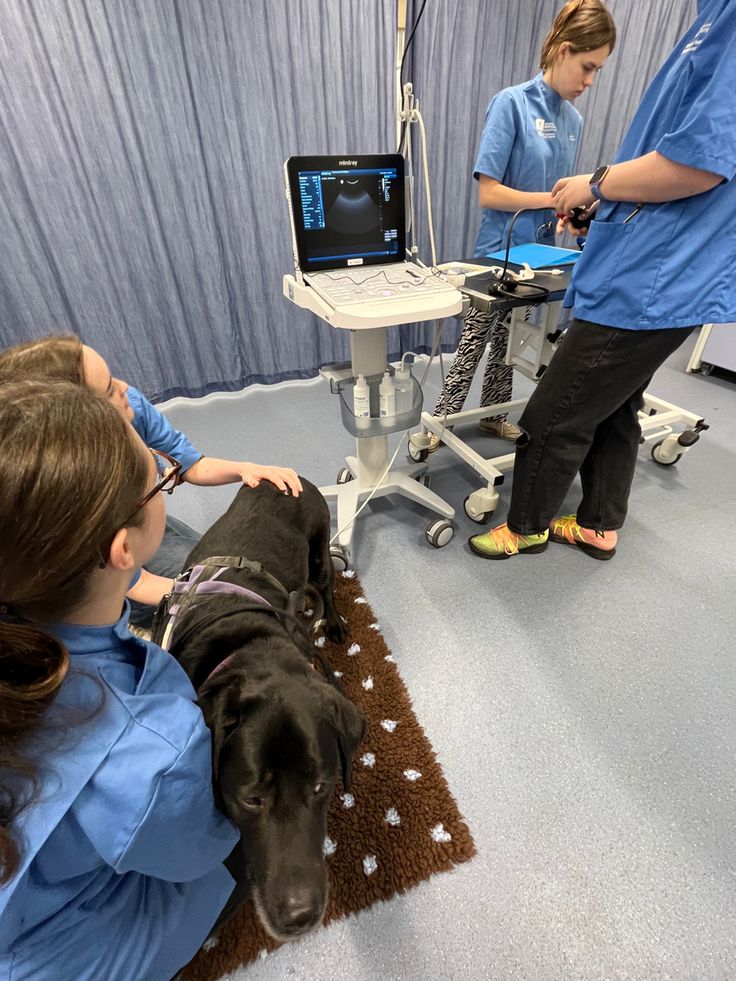 two veterinas and a dog in an operating room with a monitor on the floor