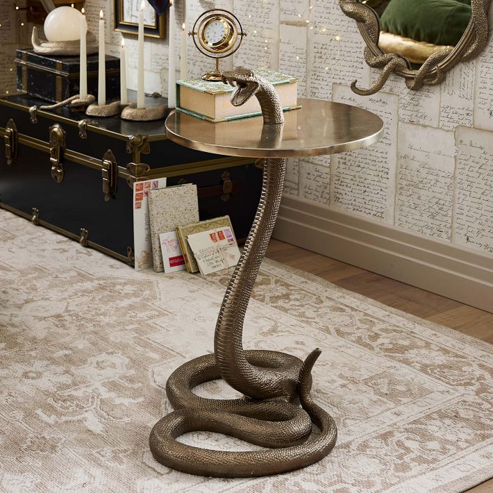 a table with a snake on it in front of a mirror and bookshelf