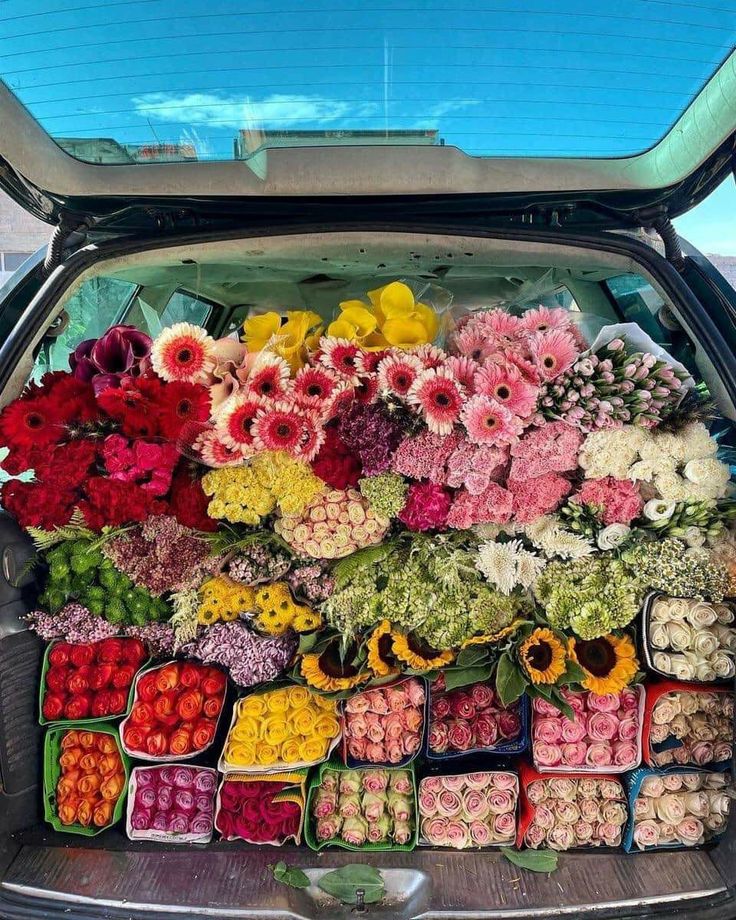 the back end of a car filled with lots of flowers