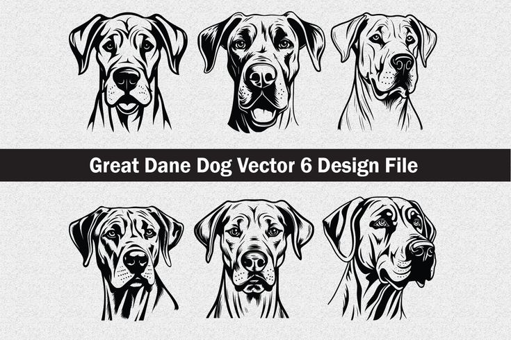 three dogs with different expressions and the words, great dane dog vector 6 design file