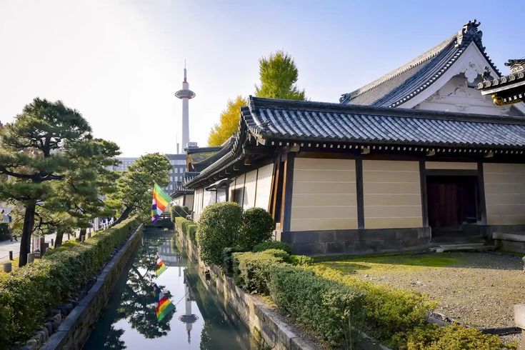 Planning to spend 14 days in Japan? Embark on a journey with our 2-week Japan travel itinerary, covering the best things to do. 2 Weeks In Japan, Things To Do In Tokyo, Meiji Shrine, Golden Pavilion, Yoyogi Park, Himeji Castle, Travel Bucket Lists, Japan Itinerary, Osaka Castle