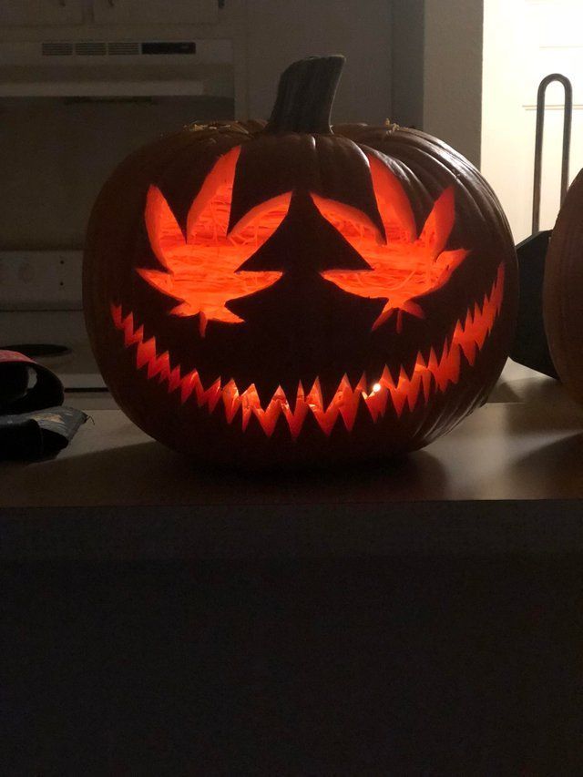 two carved pumpkins sitting on top of a counter