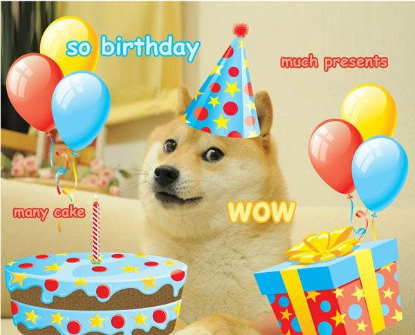 a dog sitting in front of a birthday cake and presents