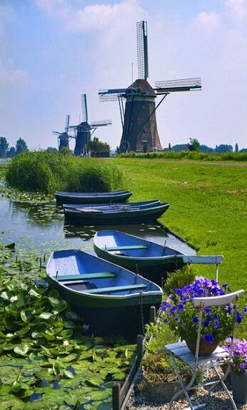 several boats are docked in the water near some flowers and windmills behind them on a sunny day