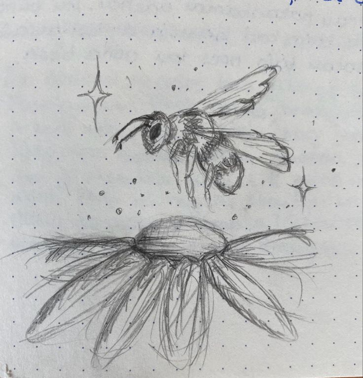 Bee and flower, bee, easy drawing ideas, drawing bee, flowers, drawing ideas, simple drawing Bee In Flower Drawing, Flower Drawing Inspo Sketch, Bumble Bee Sketch Simple, Bees On Flowers Drawing, How To Draw Bee Wings, How To Draw Bees Easy, Easy Drawing Ideas Flowers, Bee Flower Drawing, Bee Drawings Simple