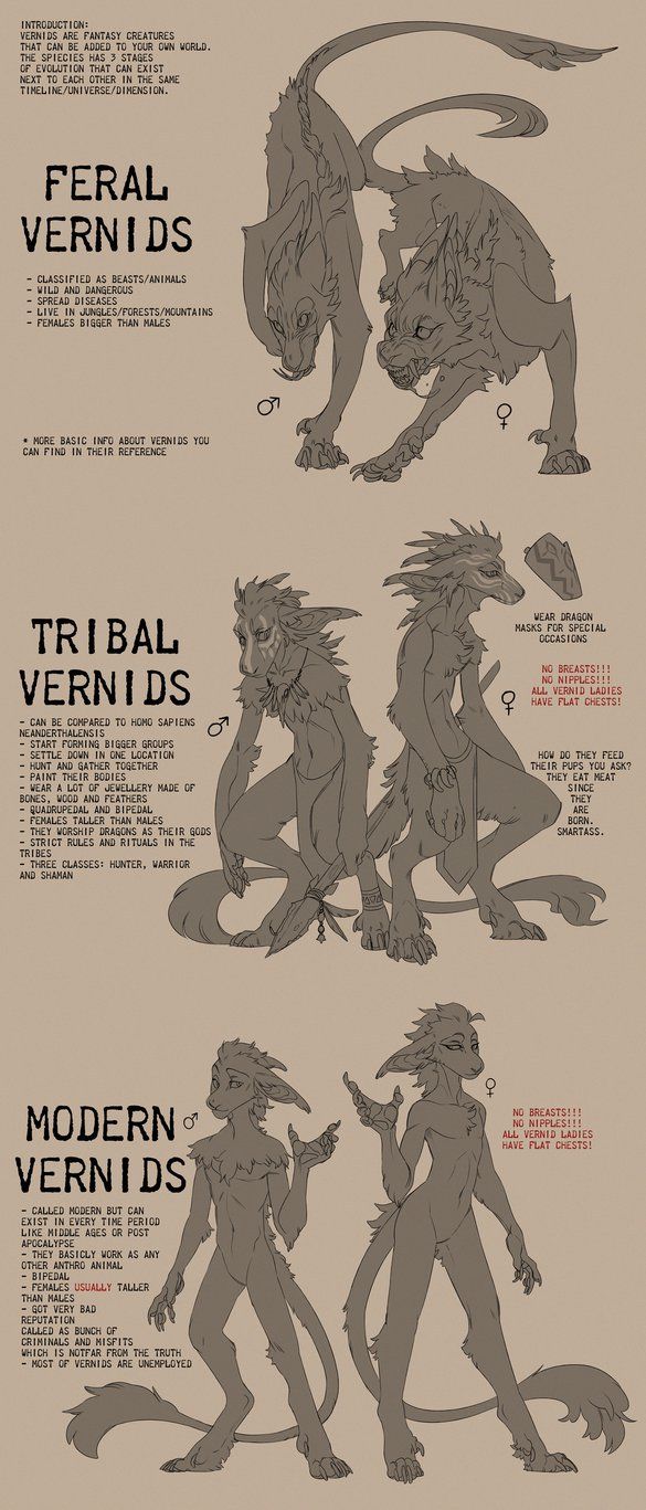 an info sheet shows how to draw furry animals in different poses and sizes, including the tail