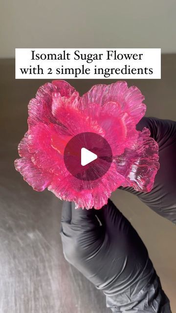 Sugar Work Decoration, Isomalt Cake Decoration, Isomalt Flowers, Isomalt Decorations Tutorials, Isomalt Decorations, Sugar Dome, Prettiest Cakes, Sugar Flowers Tutorial, Sugar Glass