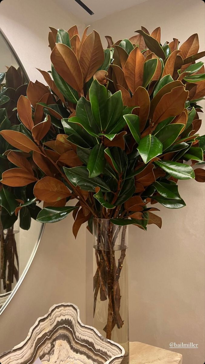 a vase filled with lots of green leaves on top of a table next to a mirror