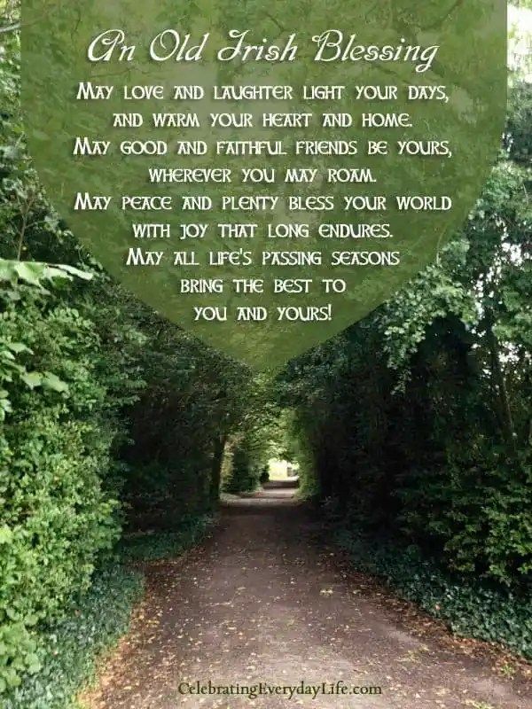 an image of a path that is surrounded by trees and leaves with the words on it