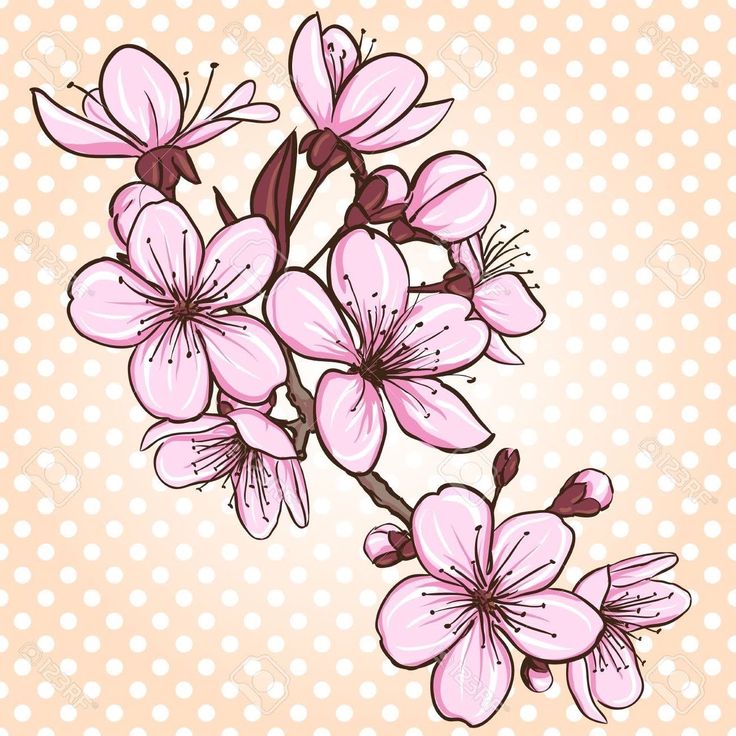 pink flowers on a beige background with polka dots stock photo, images and royalty illustrations