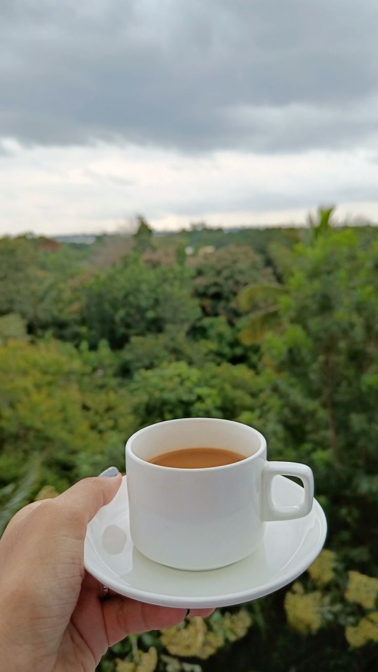 a hand holding a cup of coffee in front of a forest filled with green trees