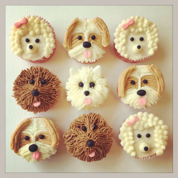 twelve cupcakes with dog faces on them