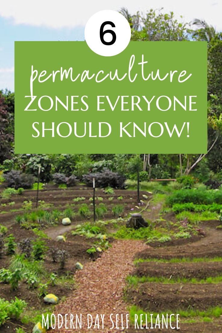 a garden with text overlay that reads 6 permaculture zones everyone should know