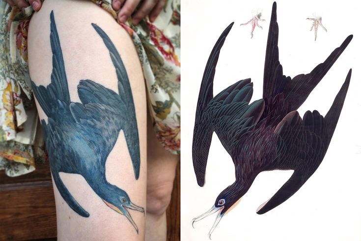 two pictures of birds with different designs on their legs, one showing the same tattoo