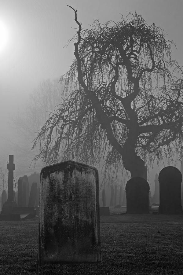 an old cemetery with tombstones and a tree in the fog