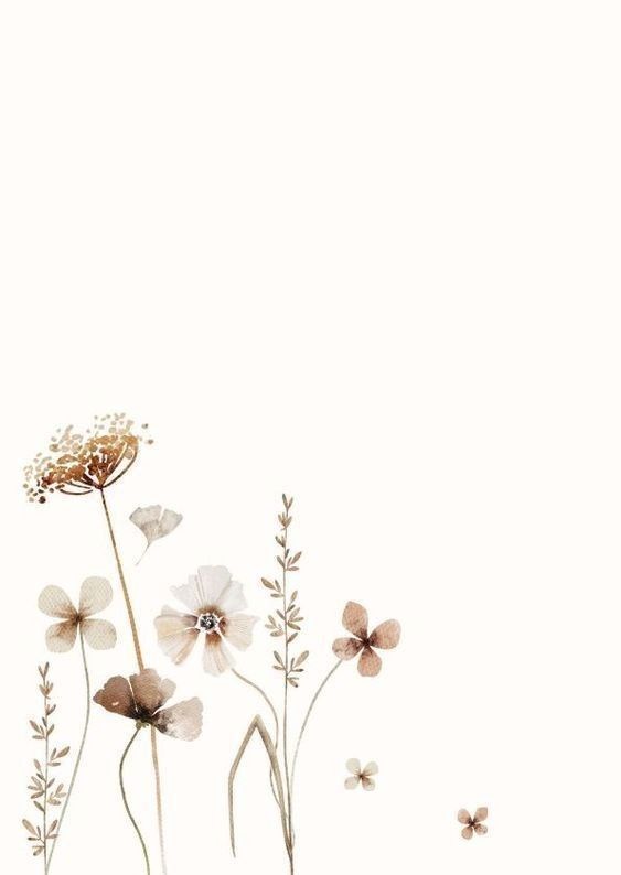 some white and brown flowers on a white background