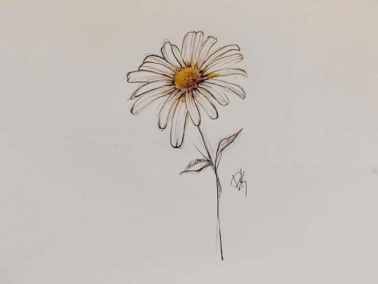 a drawing of a flower on a white background