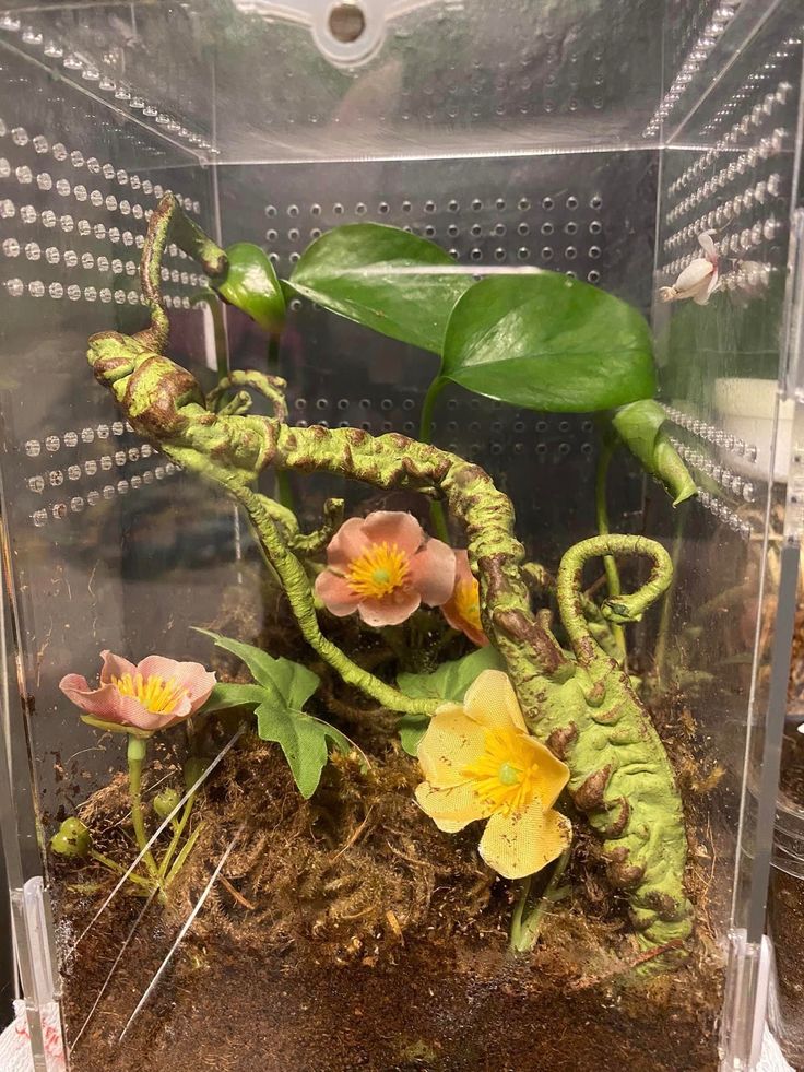 some flowers are in a glass container on the ground with dirt and plants growing out of it