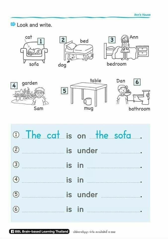 the cat is on the sofa worksheet for kids to learn how to read