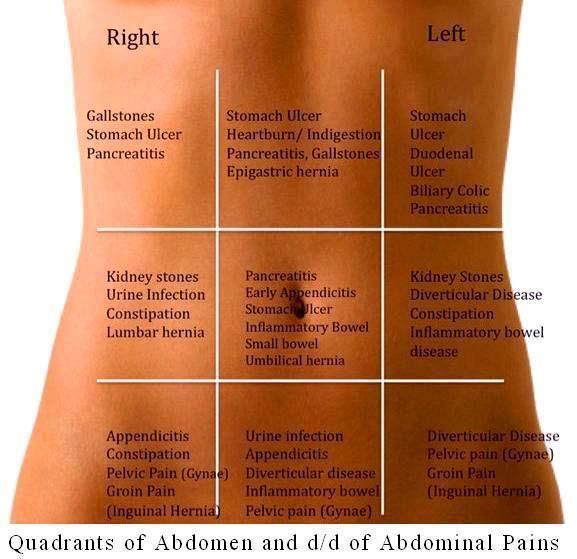 Nutrition Nursing, Calendula Benefits, Banana Benefits, Nursing Diagnosis, Guided Visualization, Stomach Ulcers, Pelvic Pain, Stomach Pain, Empower Yourself