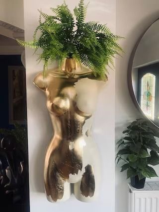 a potted plant sitting on top of a white wall next to a mirror and radiator