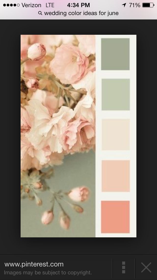 the color scheme is peach and grey with pink flowers on it's left side