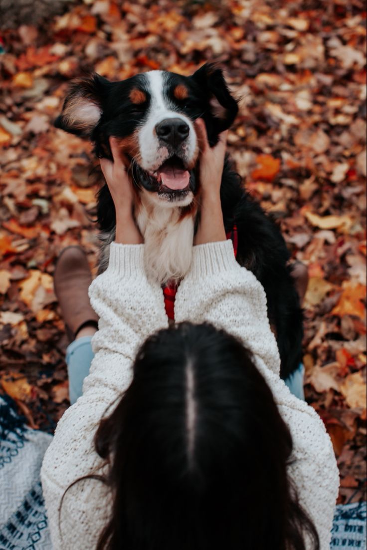 a dog sitting on top of a woman's lap in the leaves with it's mouth open