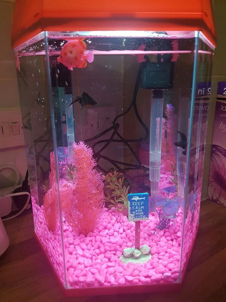 an aquarium filled with pink rocks and water