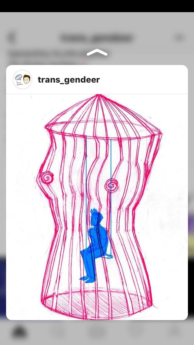 a drawing of a person in a cage with the caption trans - genderer