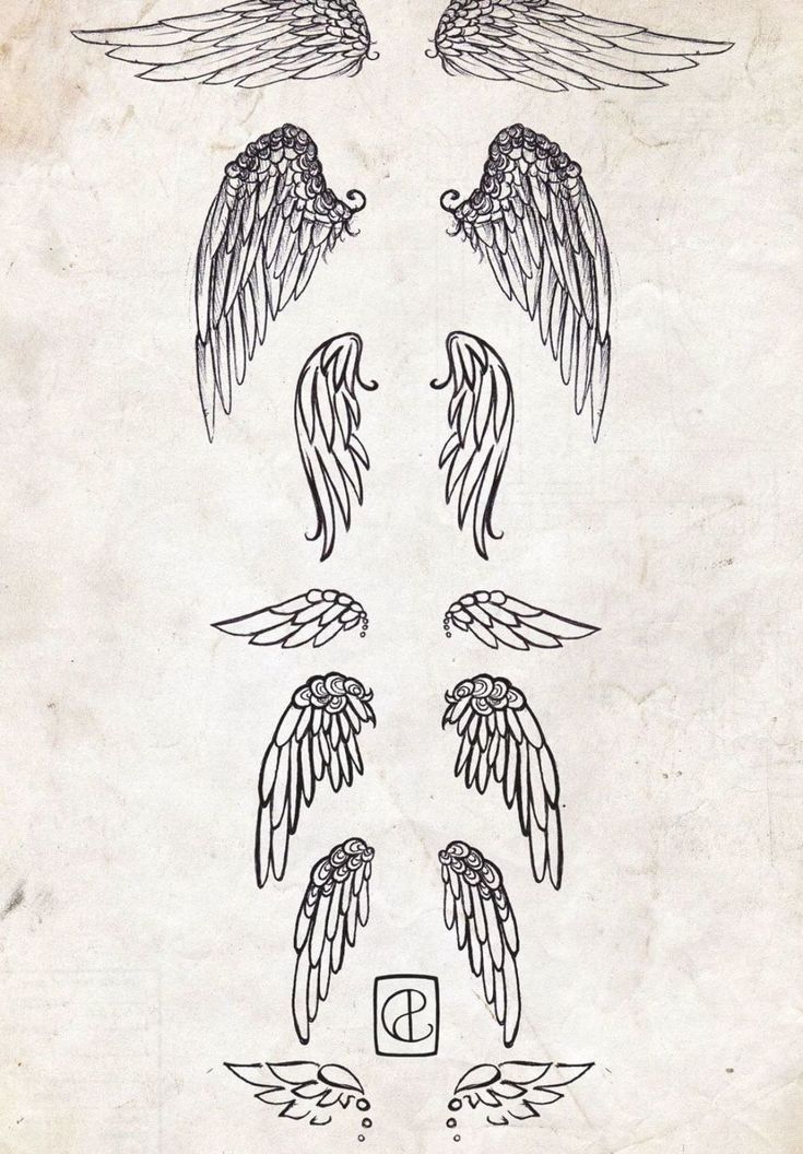 an old book with some drawings of wings on the pages and one is drawn in black ink