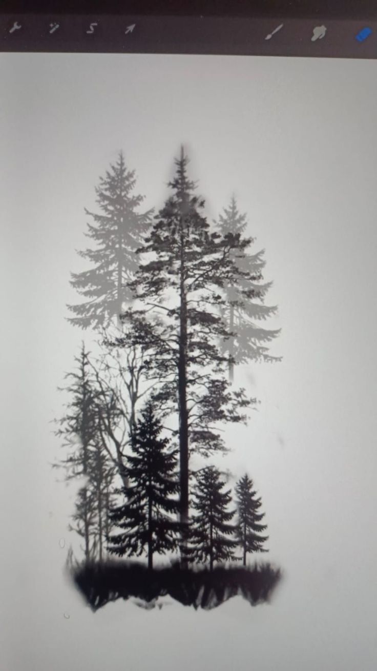 a black and white photo of trees in the fog on a polaroid film frame