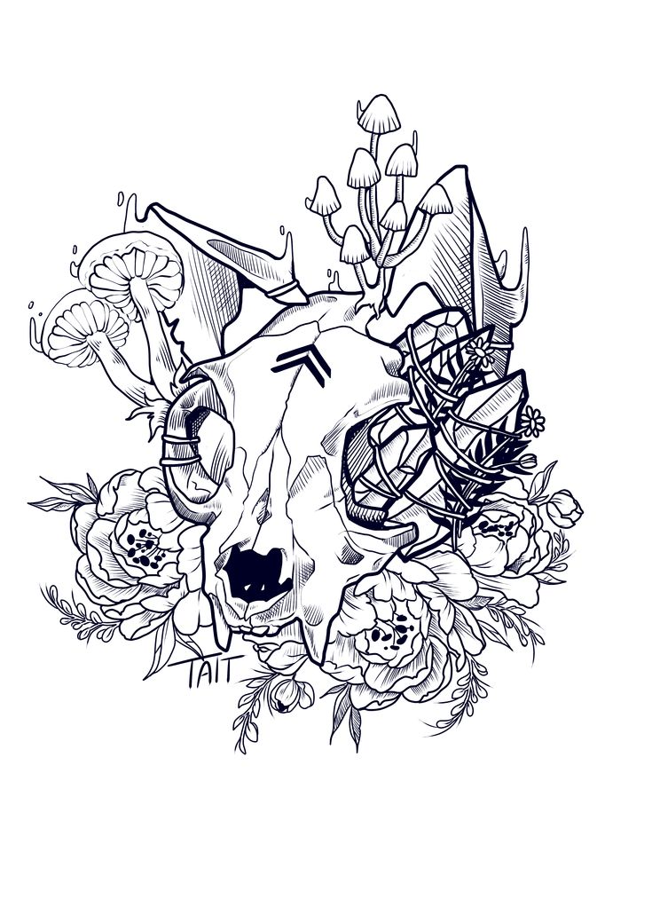 a black and white drawing of a cow's skull surrounded by flowers